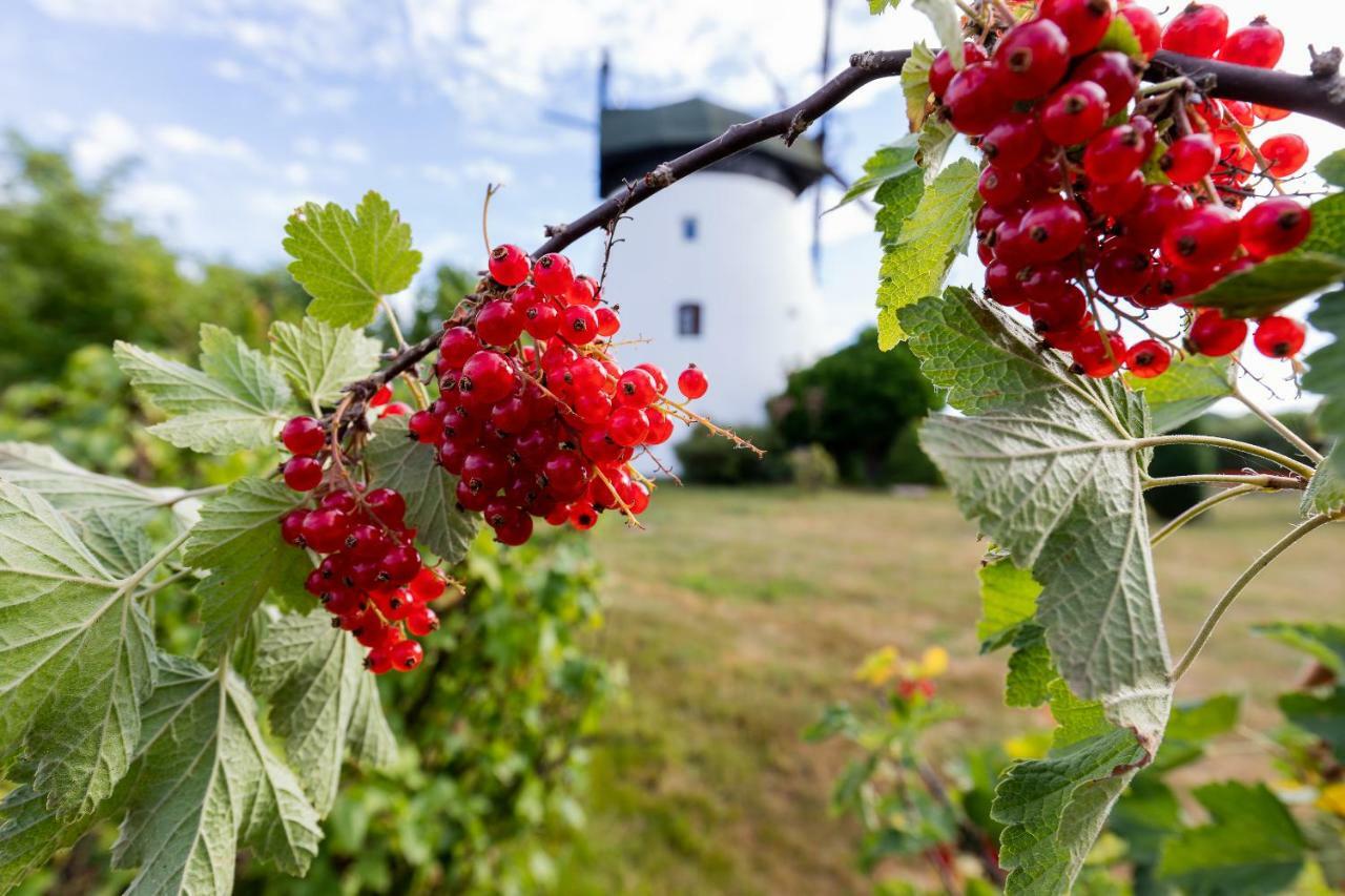 Windmill Vacation Home In Ledzin Near Baltic Sea Niechorze Buitenkant foto