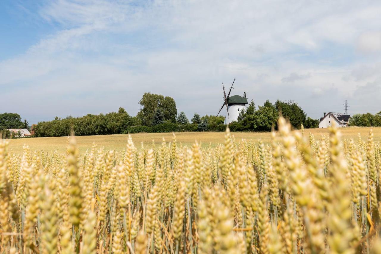 Windmill Vacation Home In Ledzin Near Baltic Sea Niechorze Buitenkant foto