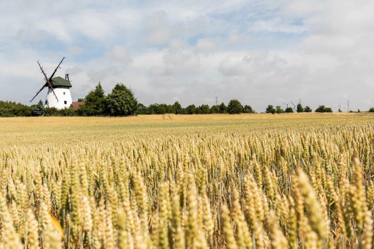 Windmill Vacation Home In Ledzin Near Baltic Sea Niechorze Buitenkant foto